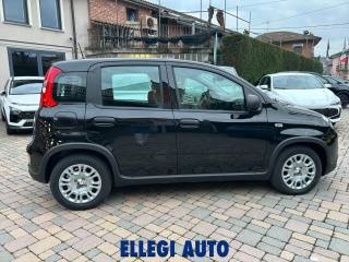 FIAT Panda usata, con Airbag Passeggero
