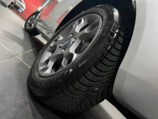 FORD Fiesta usata, con Cronologia tagliandi