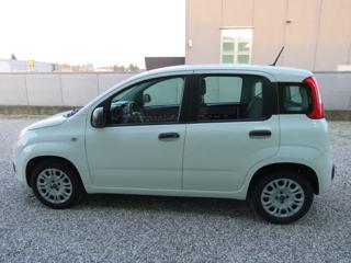 FIAT Panda usata, con Airbag