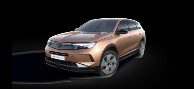 OPEL Grandland usata, con Airbag