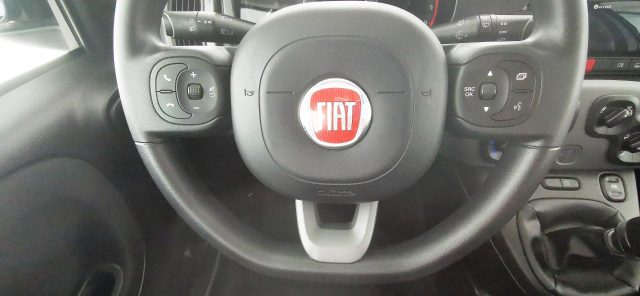 FIAT Panda usata 42