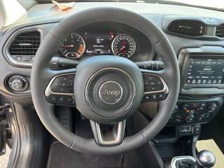 JEEP Renegade usata, con Bracciolo