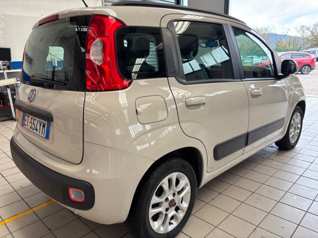 FIAT Panda usata 4