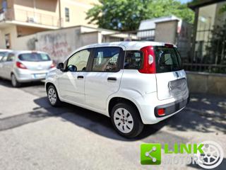 FIAT Panda usata 16