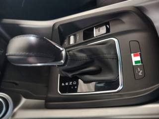 ALFA ROMEO Tonale usata, con Riconoscimento dei segnali stradali