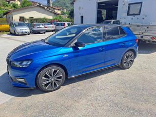 SKODA Fabia usata, con Vetri oscurati