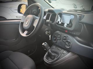 FIAT Panda usata 29
