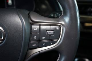 LEXUS UX 250h usata, con Bracciolo