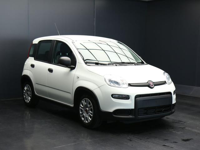FIAT Panda usata, con Airbag Passeggero