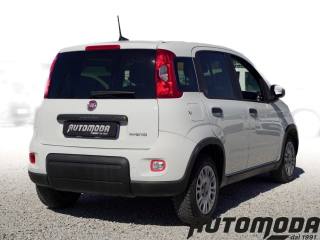 FIAT Panda usata, con Airbag Passeggero