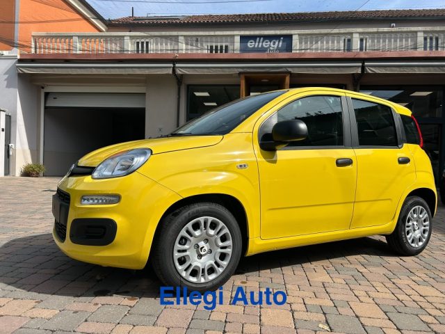 FIAT Pandina usata, con Servosterzo
