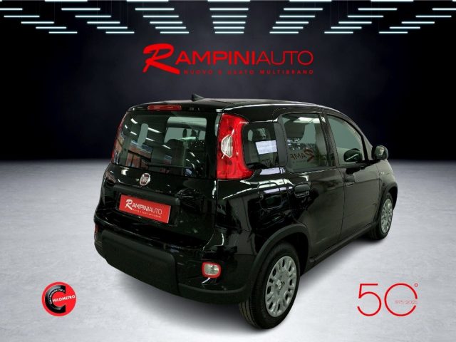 FIAT Panda usata 6