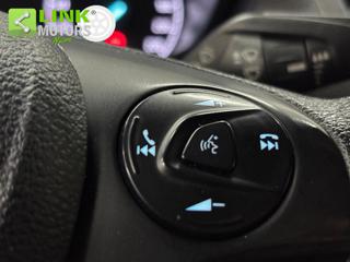 FORD Transit Connect usata 20