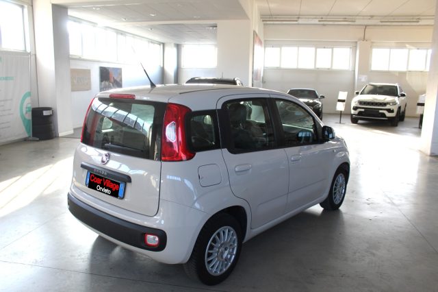 FIAT Panda usata, con Alzacristalli elettrici