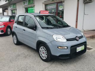 FIAT Panda usata, con Airbag Passeggero