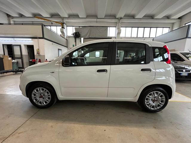 FIAT Panda usata, con Climatizzatore