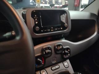 FIAT Panda usata 17