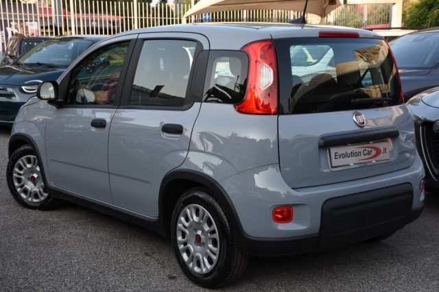 FIAT Panda usata, con Alzacristalli elettrici
