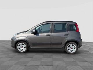 FIAT Panda usata 1
