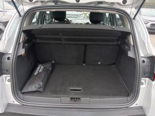 RENAULT Captur usata, con Fendinebbia