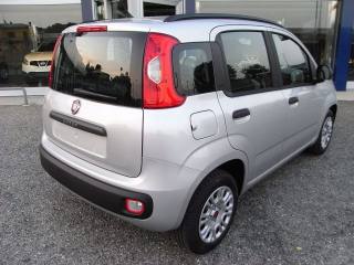 FIAT Panda usata, con Antifurto