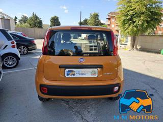 FIAT Panda usata, con Airbag Passeggero