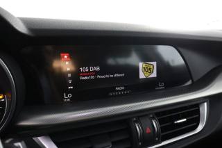 ALFA ROMEO Stelvio usata 10