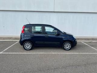 FIAT Panda usata, con Chiusura centralizzata
