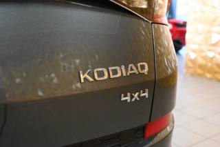 SKODA Kodiaq usata 23