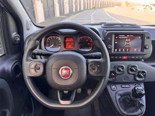 FIAT Panda Cross usata, con Fendinebbia