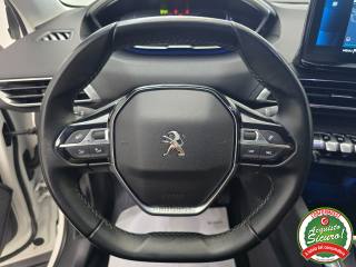 PEUGEOT 3008 usata, con Bracciolo
