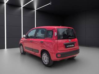 FIAT Panda usata, con Airbag Passeggero