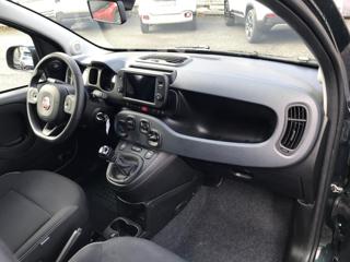 FIAT Panda Cross usata, con Controllo trazione