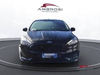 FORD Focus usata 6