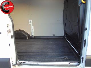 FORD Transit usata 8