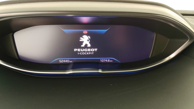 PEUGEOT 3008 usata, con Cronologia tagliandi