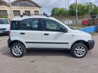 FIAT Panda usata 3