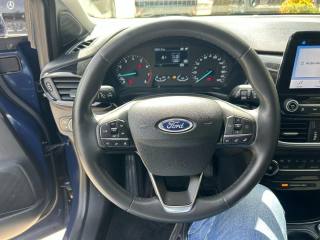 FORD Puma usata, con Cronologia tagliandi
