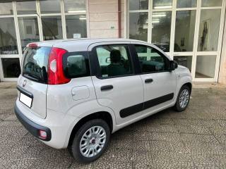 FIAT Panda usata 7