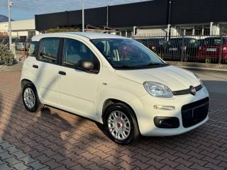 FIAT New Panda usata, con Airbag Passeggero