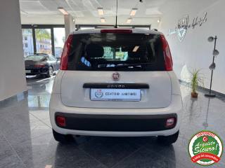 FIAT Panda usata, con Antifurto