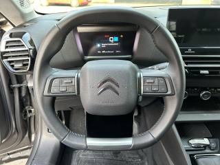 CITROEN C4 usata, con Cruise Control