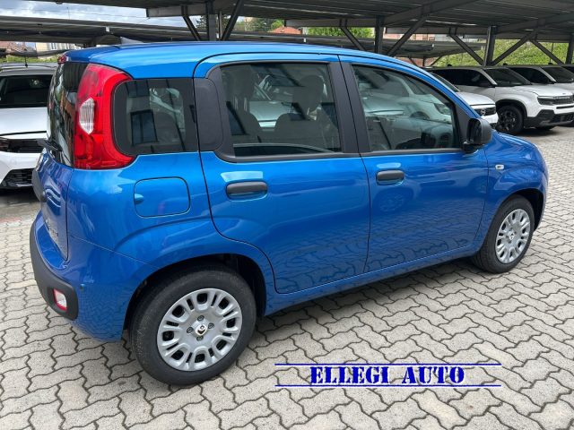 FIAT Panda usata, con Alzacristalli elettrici