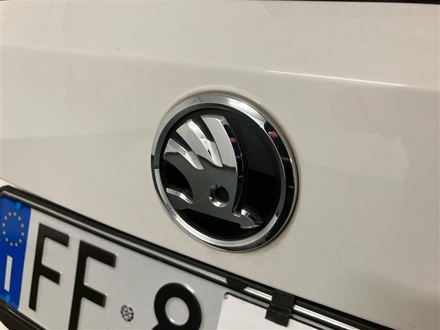 SKODA Fabia usata 23