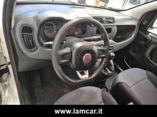 FIAT Panda usata 15