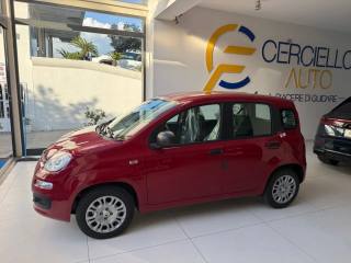 FIAT Panda usata, con Alzacristalli elettrici