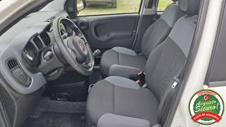 FIAT Panda usata, con Alzacristalli elettrici