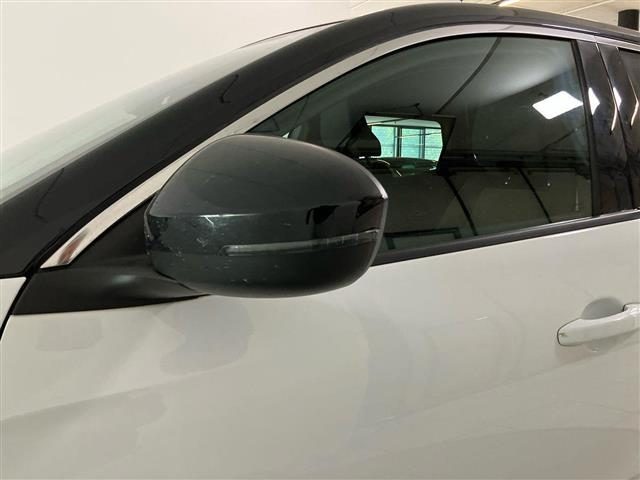 RENAULT Austral usata 19