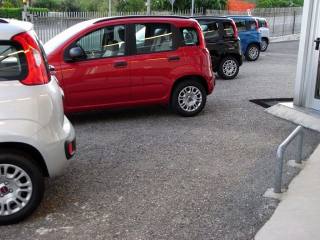 FIAT Panda usata 17