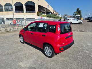 FIAT Pandina usata, con Chiusura centralizzata